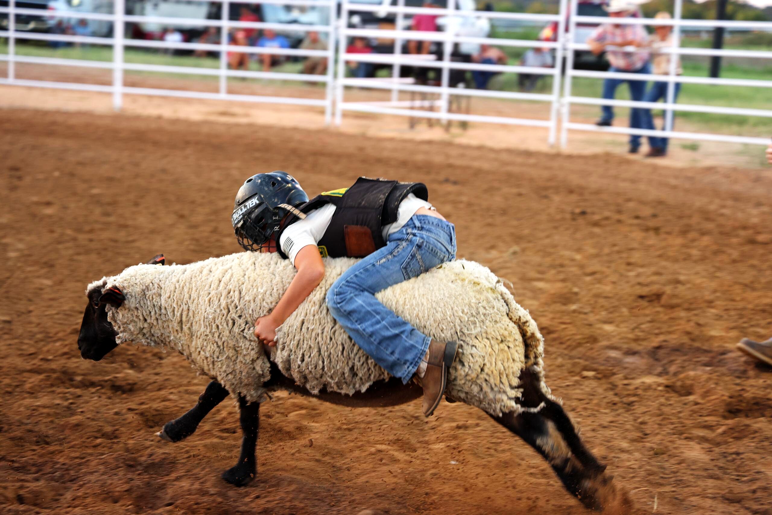 Young rider holding on during a mutton busting run