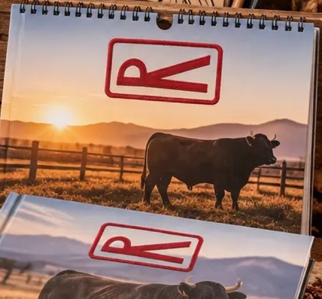 Calendar — styled product preview