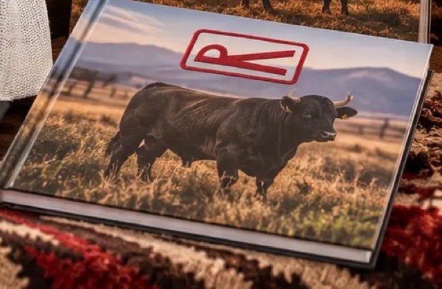 Photo Book — styled product preview