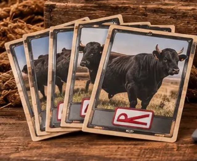 Trading Cards — styled product preview